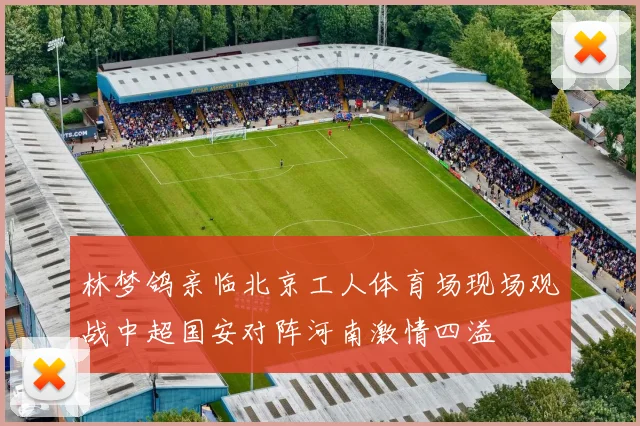 林梦鸽亲临北京工人体育场现场观战中超国安对阵河南激情四溢